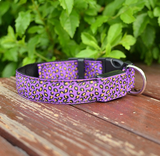 LED Hundhalsband – Justerbart & Säkert med Leopardmönster