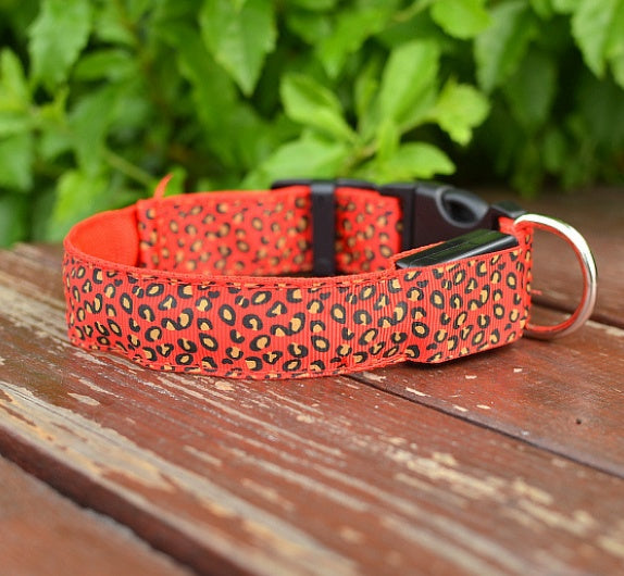 LED Hundhalsband – Justerbart & Säkert med Leopardmönster