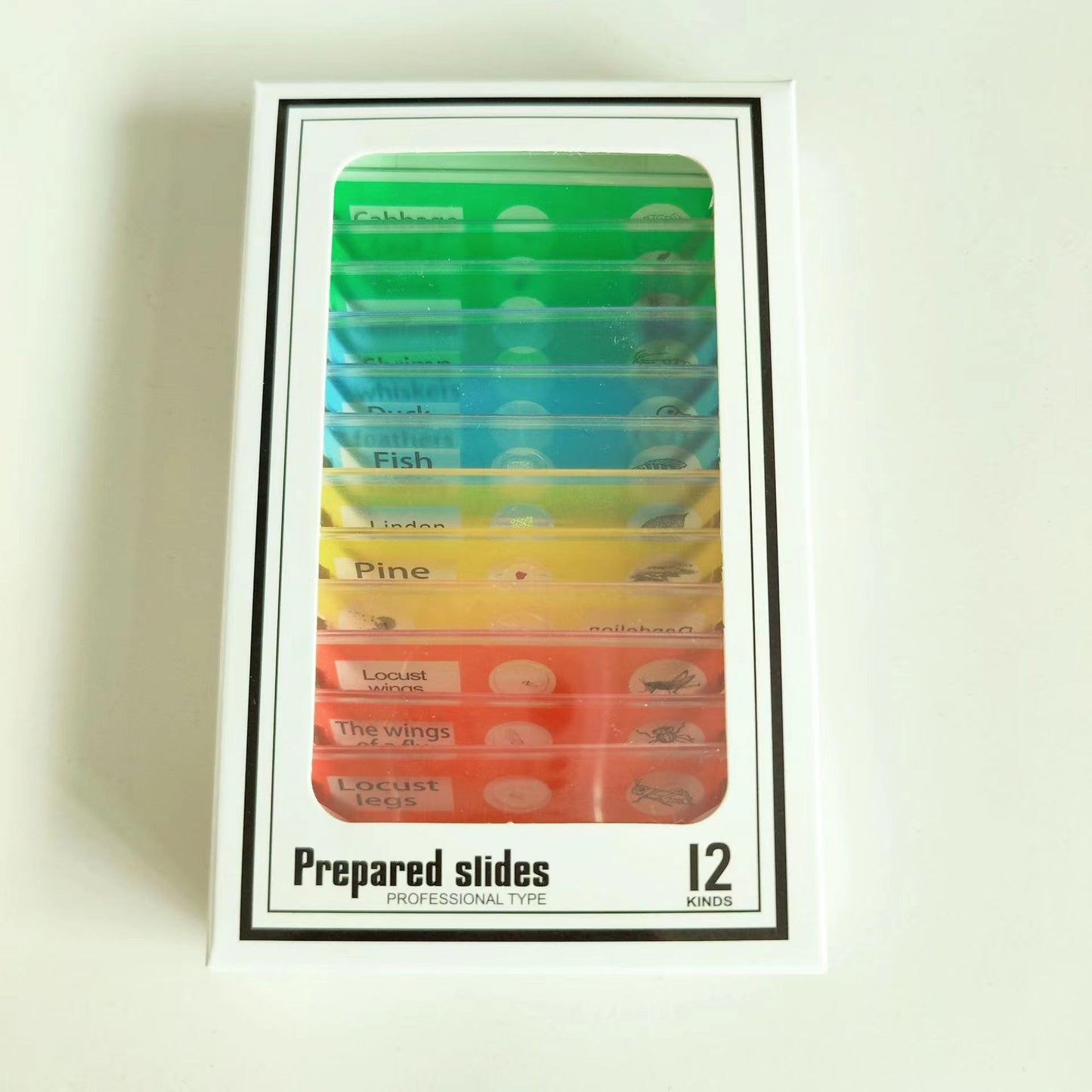 Fickmikroskop för Barn – Portabel Mini-Mikroskopleksak med LED-ljus (60x–120x)