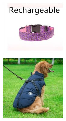 LED Hundhalsband – Justerbart & Säkert med Leopardmönster