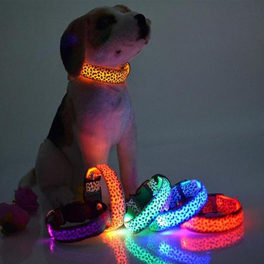 LED Hundhalsband – Justerbart & Säkert med Leopardmönster