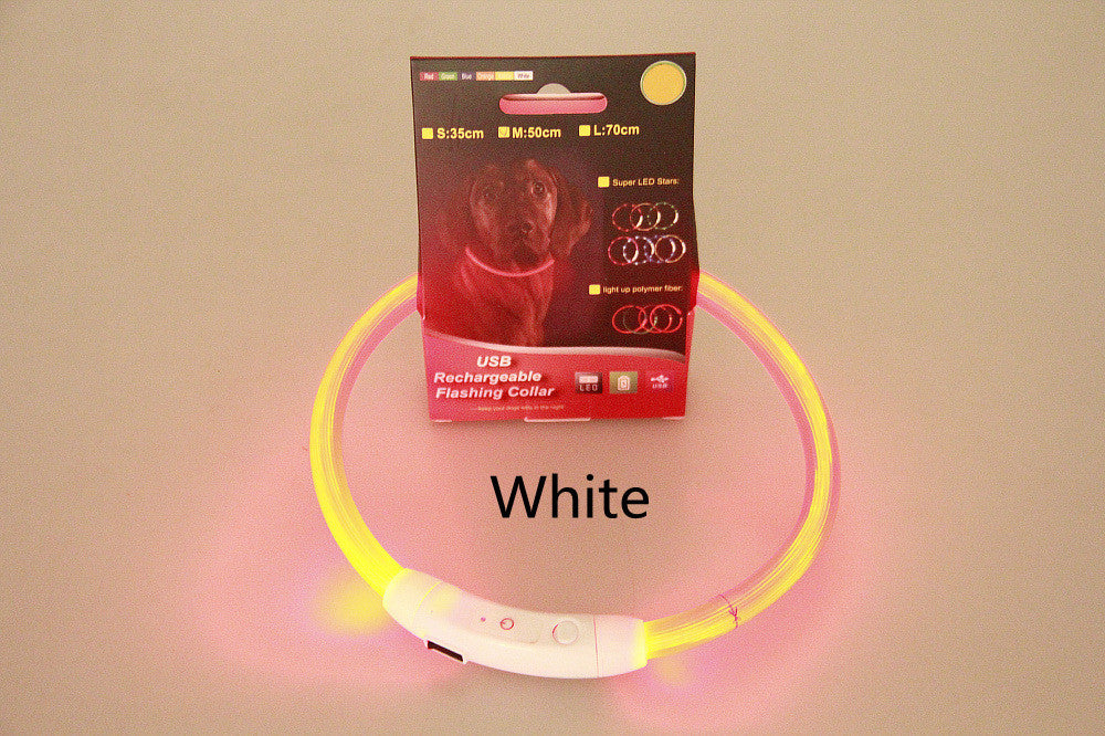 Reflekterande LED-halsband för nattpromenader