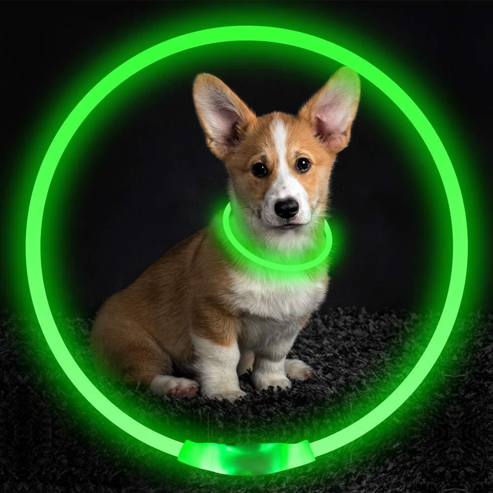 Reflekterande LED-halsband för nattpromenader