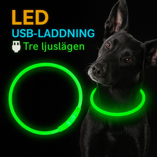 Reflekterande LED-halsband för nattpromenader