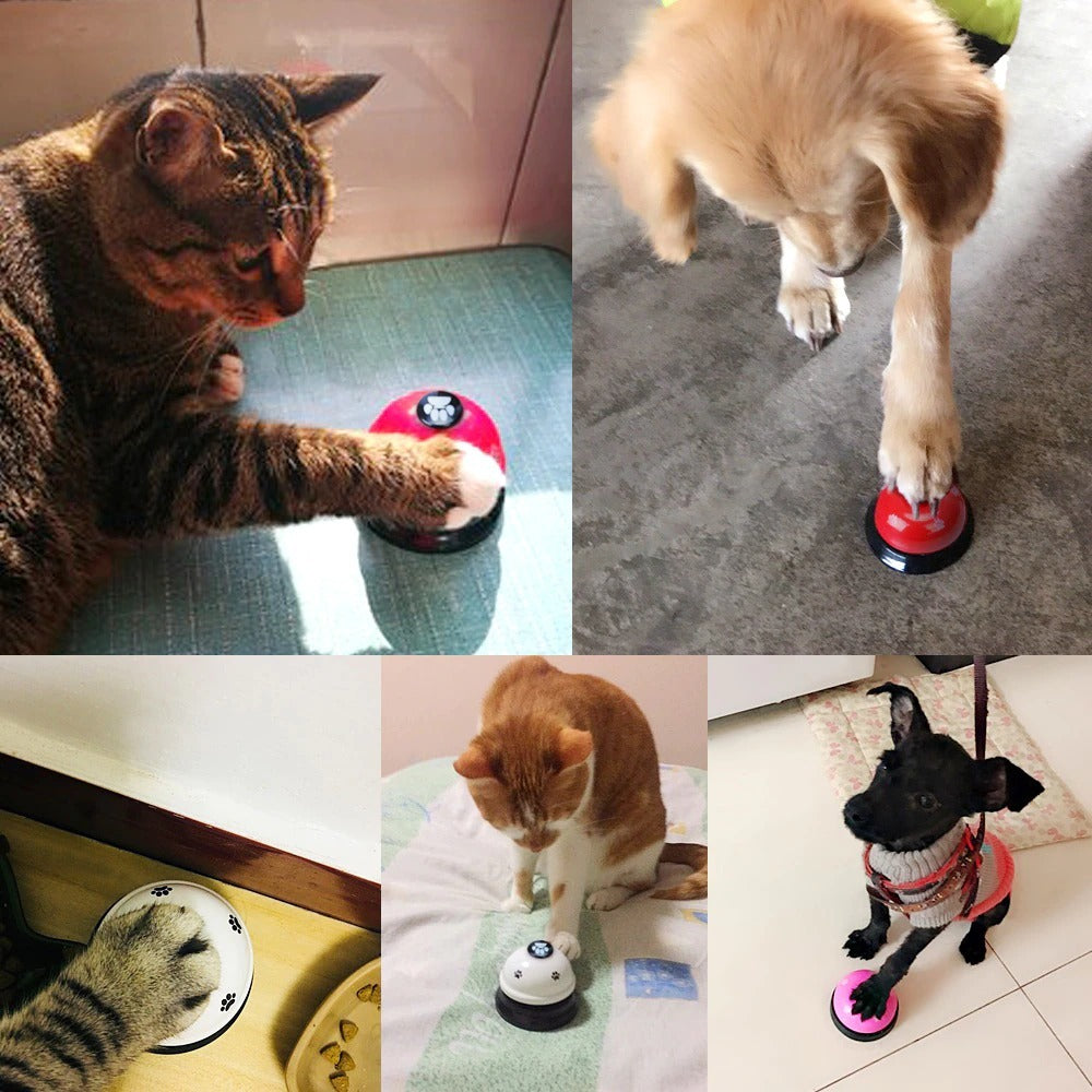 Träningsklocka för Hund & Katt – Potträningsklocka med Halkfri Botten