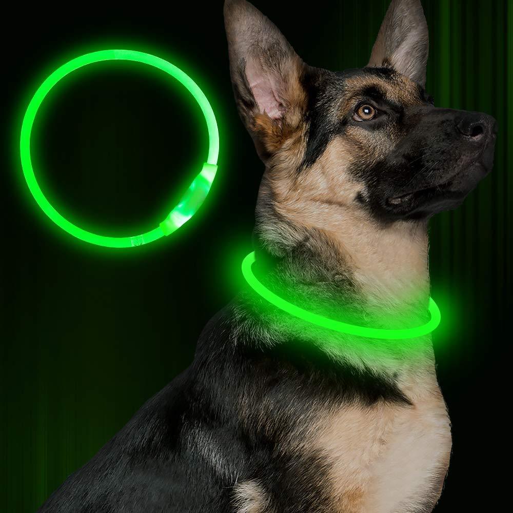Reflekterande LED-halsband för nattpromenader