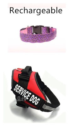 LED Hundhalsband – Justerbart & Säkert med Leopardmönster
