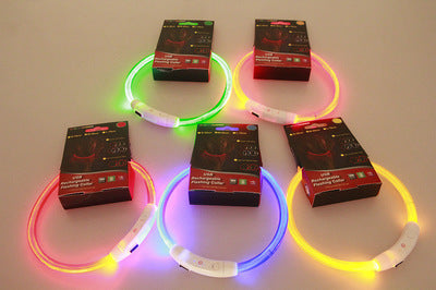 Reflekterande LED-halsband för nattpromenader