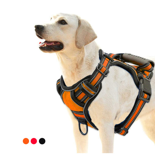 Hundsele – Dragfri, andningsbar och reflexutrustad sele